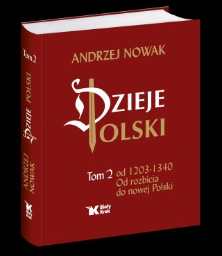 Dzieje Polski. Tom 2