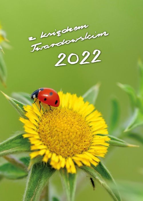 Kalendarz z księdzem Twardowskim 2022 - biedronka